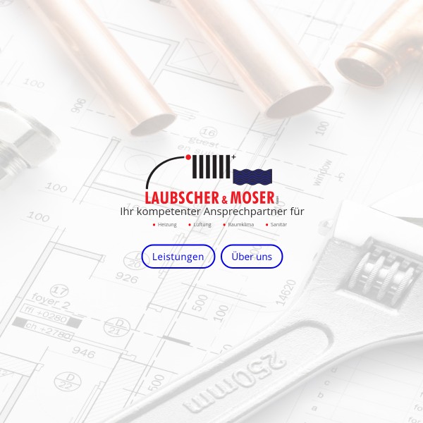 Laubscher & Moser GmbH 67657 Kaiserslautern